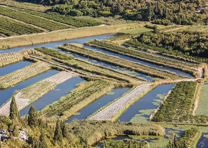 Beautiful In With Wifi Ferienhaus