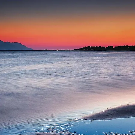 Beautiful In With Wifi *